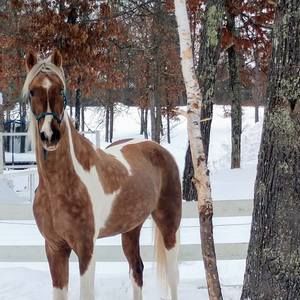 Meet your Posher, Amy